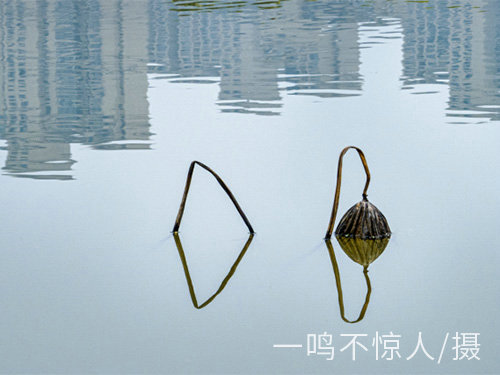 城市風(fēng)光 (11) 城市風(fēng)光 (11)